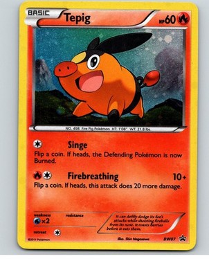 Tepig BW07 Holo Promo Black And White Promo Pokemon Near Mint