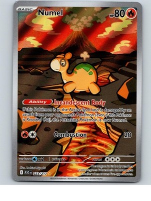 Numel 223/217 Illustration Rare Ascended Heroes Pokemon Holo Near Mint